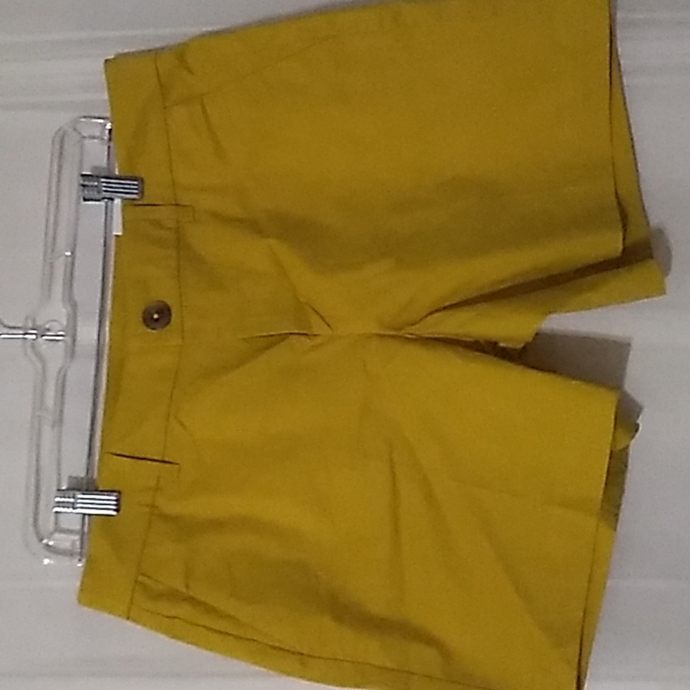 Ann Taylor Woman Gold Family Shorts